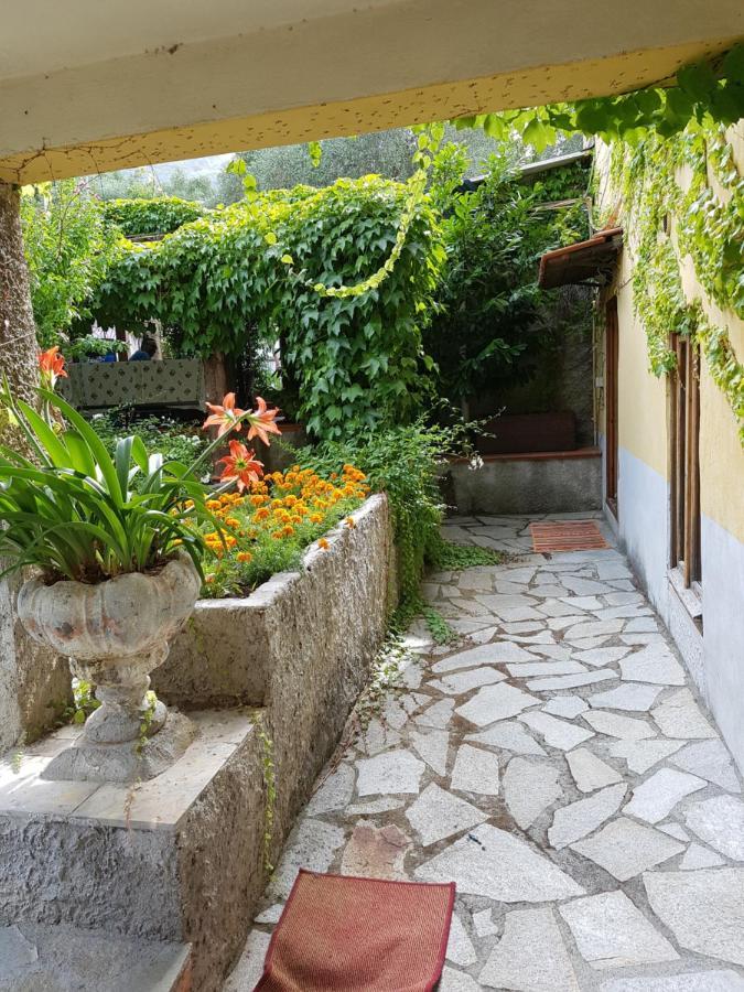 Carugio Del Fezzano Bed & Breakfast Fezzano  Exterior photo