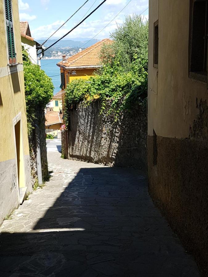 Carugio Del Fezzano Bed & Breakfast Fezzano  Exterior photo